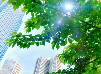 第4回　外部監査人が確認する主なポイント｜監理支援機関の監査内容と行政指摘事例